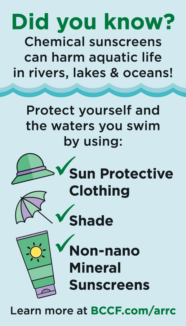 Chemical sunscreens harm aquatic life; alternatives include clothing, shade, and mineral sunscreen.
